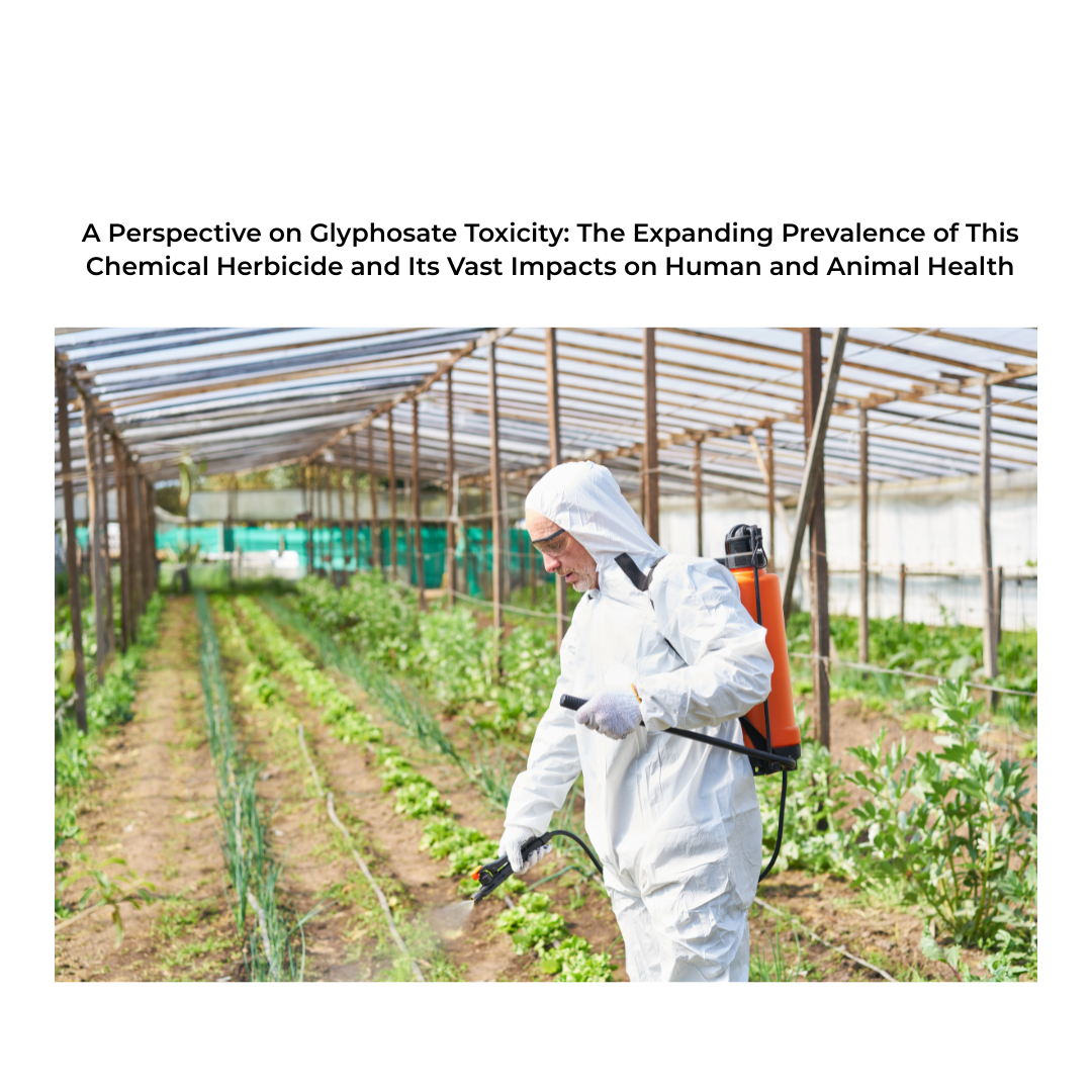 A PERSPECTIVE ON GLYPHOSATE TOXICITY: THE EXPANDING PREVALENCE OF THIS CHEMICAL HERBICIDE AND ITS VAST IMPACTS ON HUMAN AND ANIMAL HEALTH BY:KATIE KANGAS, DVM