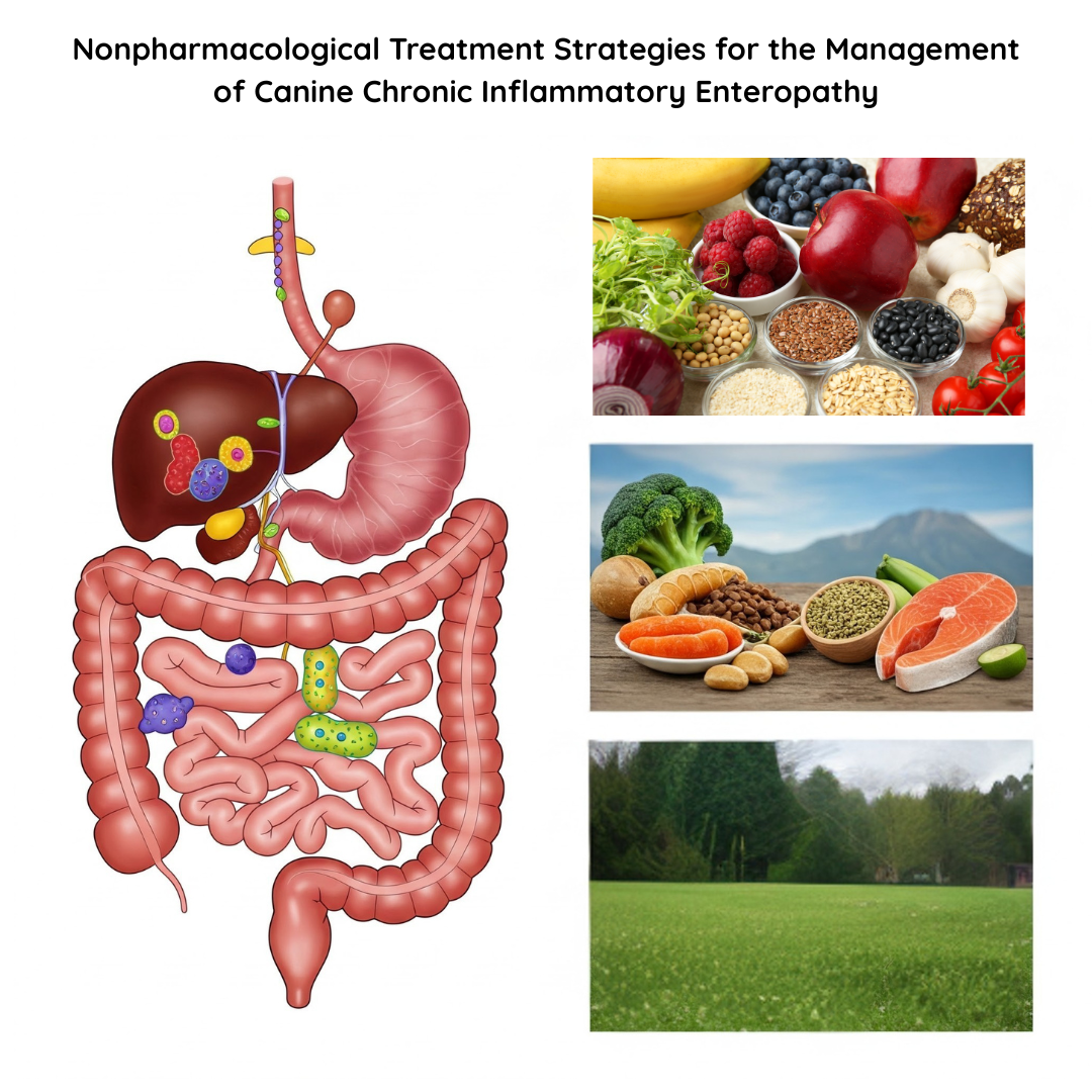 CANINE CHRONIC ENTEROPATHY—CURRENT STATE-OF-THE-ART AND EMERGING CONCEPTS