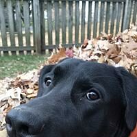 CASE STUDY – JETT