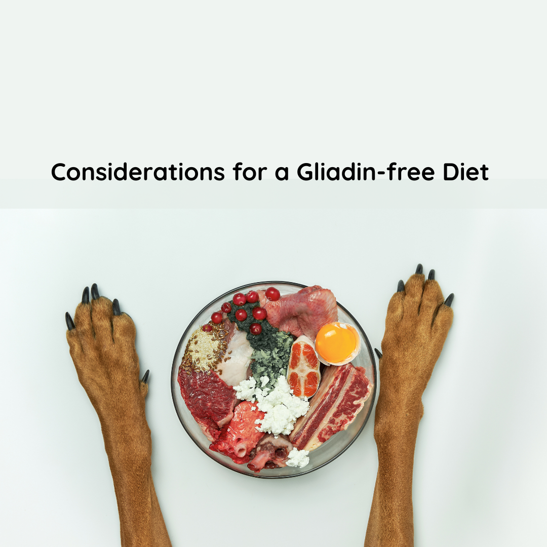 NEW DIAGNOSTIC TEST FOR DOGS WITH CHRONIC GASTROINTESTINAL SIGNS