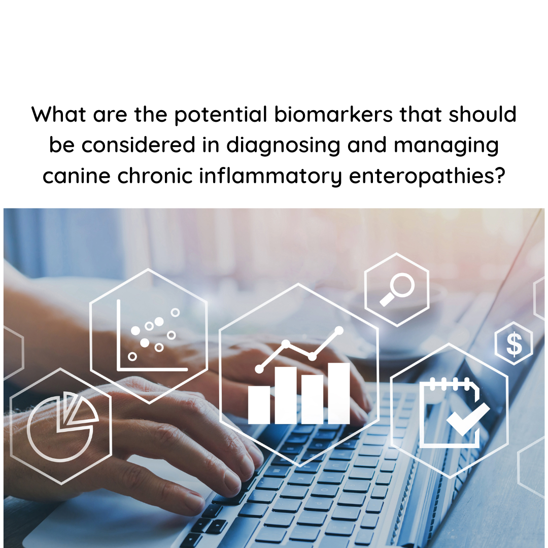 What are the potential biomarkers that should be considered in diagnosing and managing canine chronic inflammatory enteropathies?
