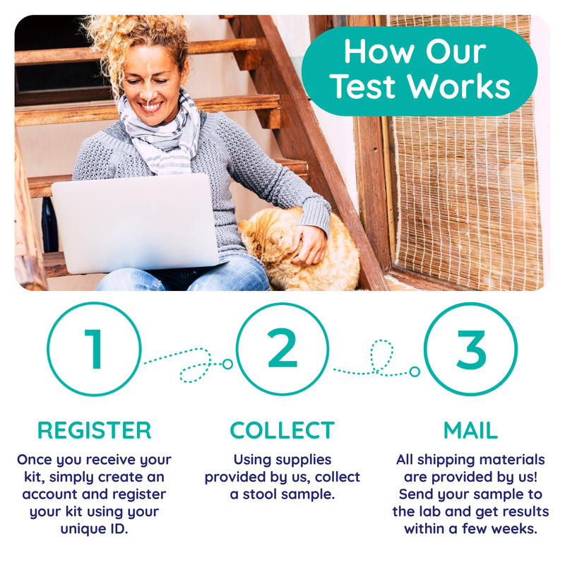 Comprehensive Gut Check for Dogs