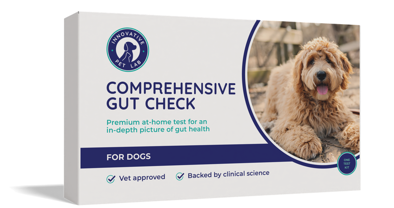 Comprehensive Gut Check for Dogs