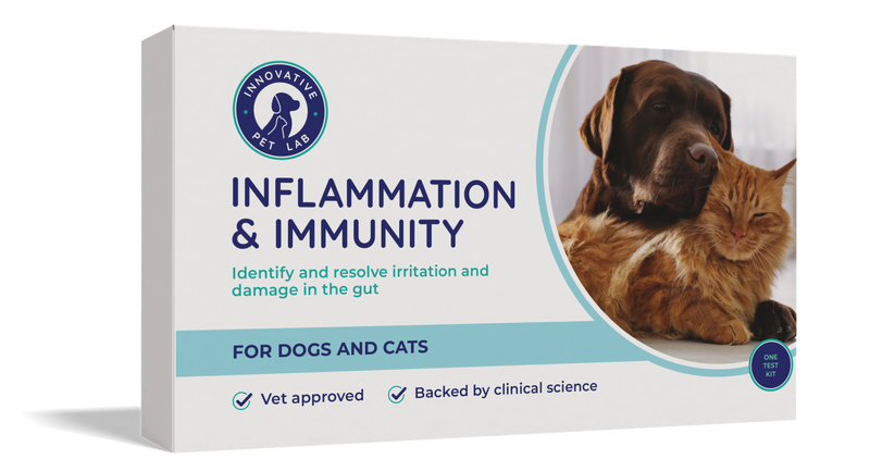 Inflammation & Immunity