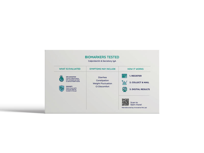 Inflammation & Immunity