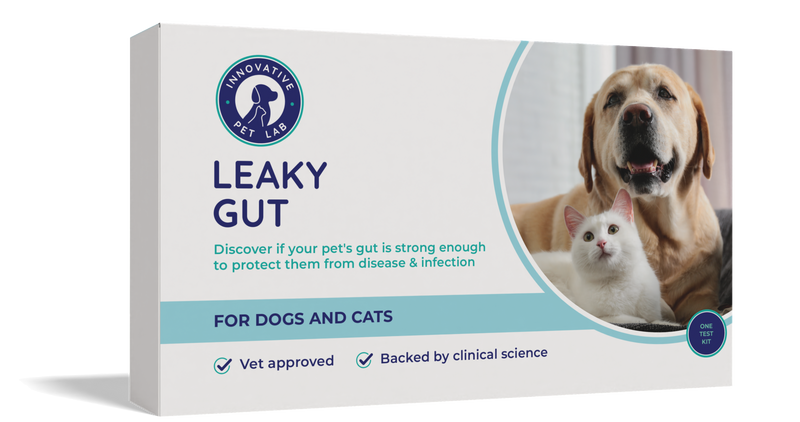 Leaky Gut