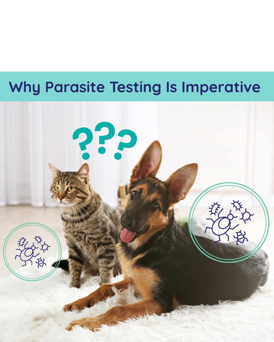 Parasites in Pets: The Hidden Problem You Can’t See (But Shouldn’t Ignore)