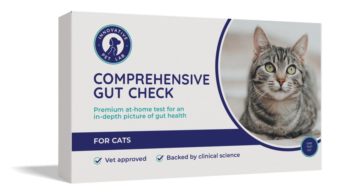 Comprehensive Gut Check for Cats