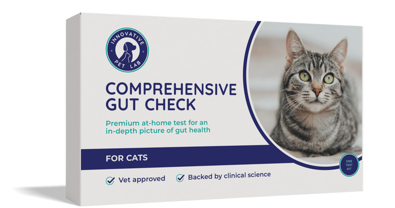 Comprehensive Gut Check for Cats