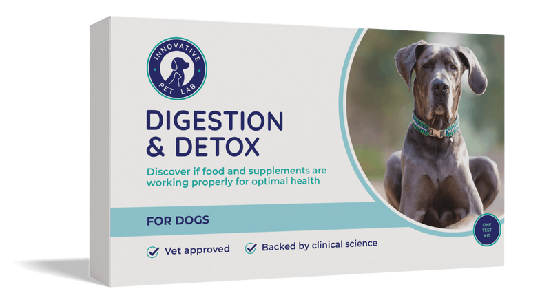 Digestion & Detox