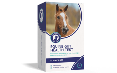 Equine Gut Health Test for Horses