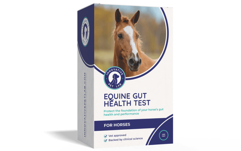 Equine Gut Health Test for Horses