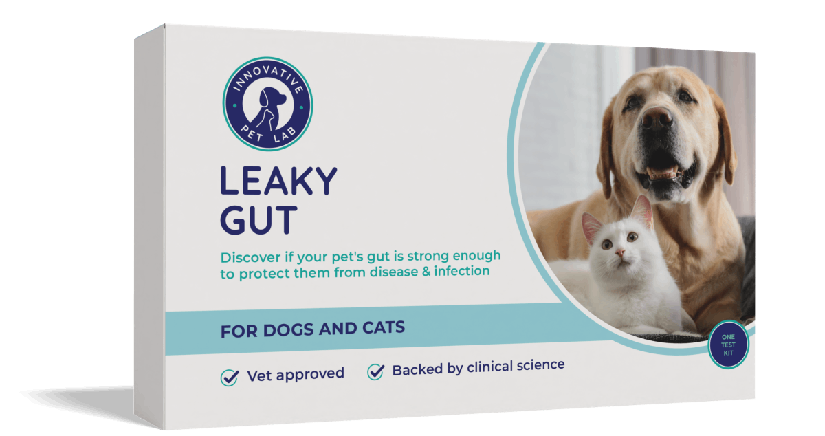 Leaky Gut